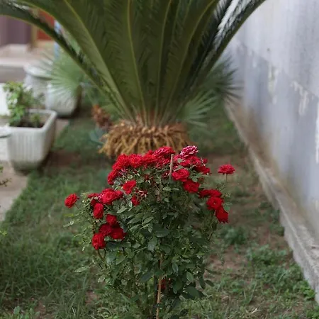 Дом отдыха Serendipity La Terrazza House