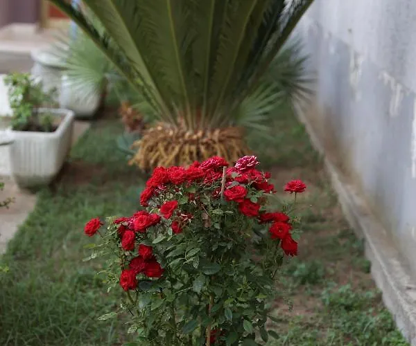 Tatil Evi Serendipity La Terrazza House